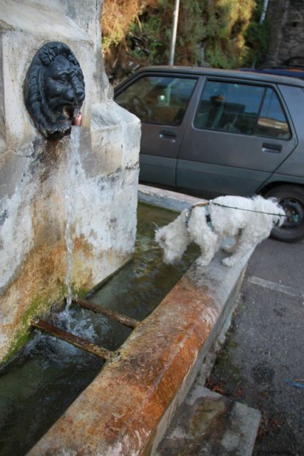 2010 07 02 jeanmarcperfetti.com 005.JPG